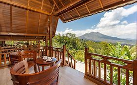 Tiing Bali Guest House Kintamani
