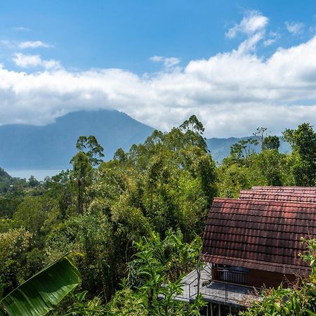 Tiing Bali Guest House Kintamani Extérieur photo