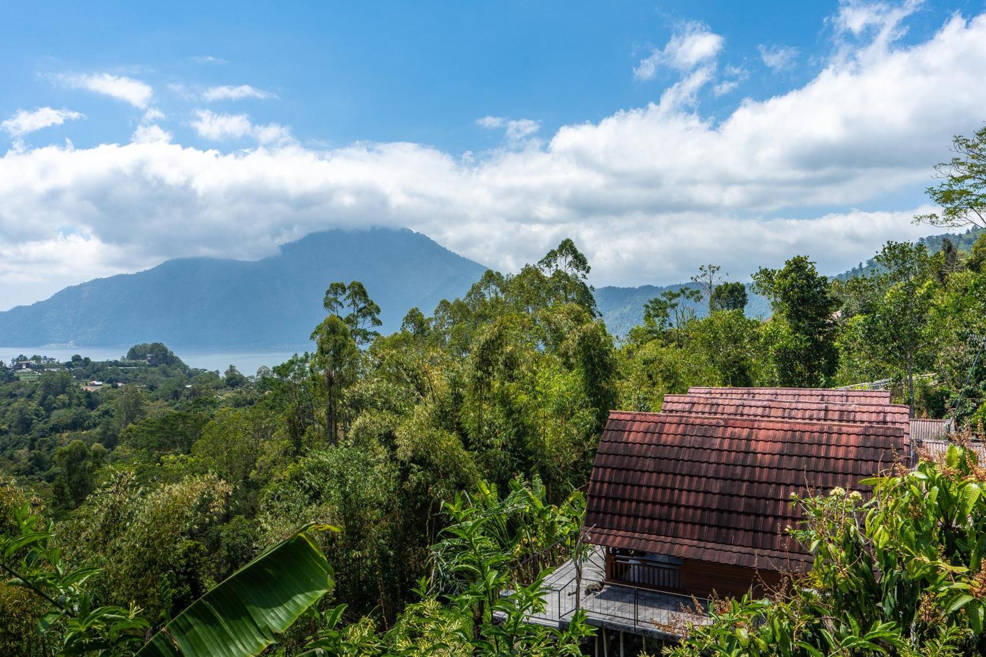 Tiing Bali Guest House Kintamani Extérieur photo