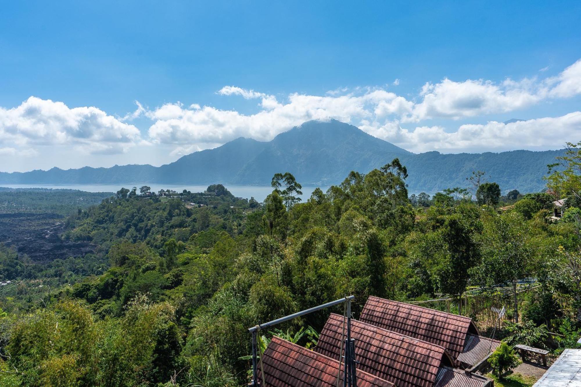 Tiing Bali Guest House Kintamani Extérieur photo