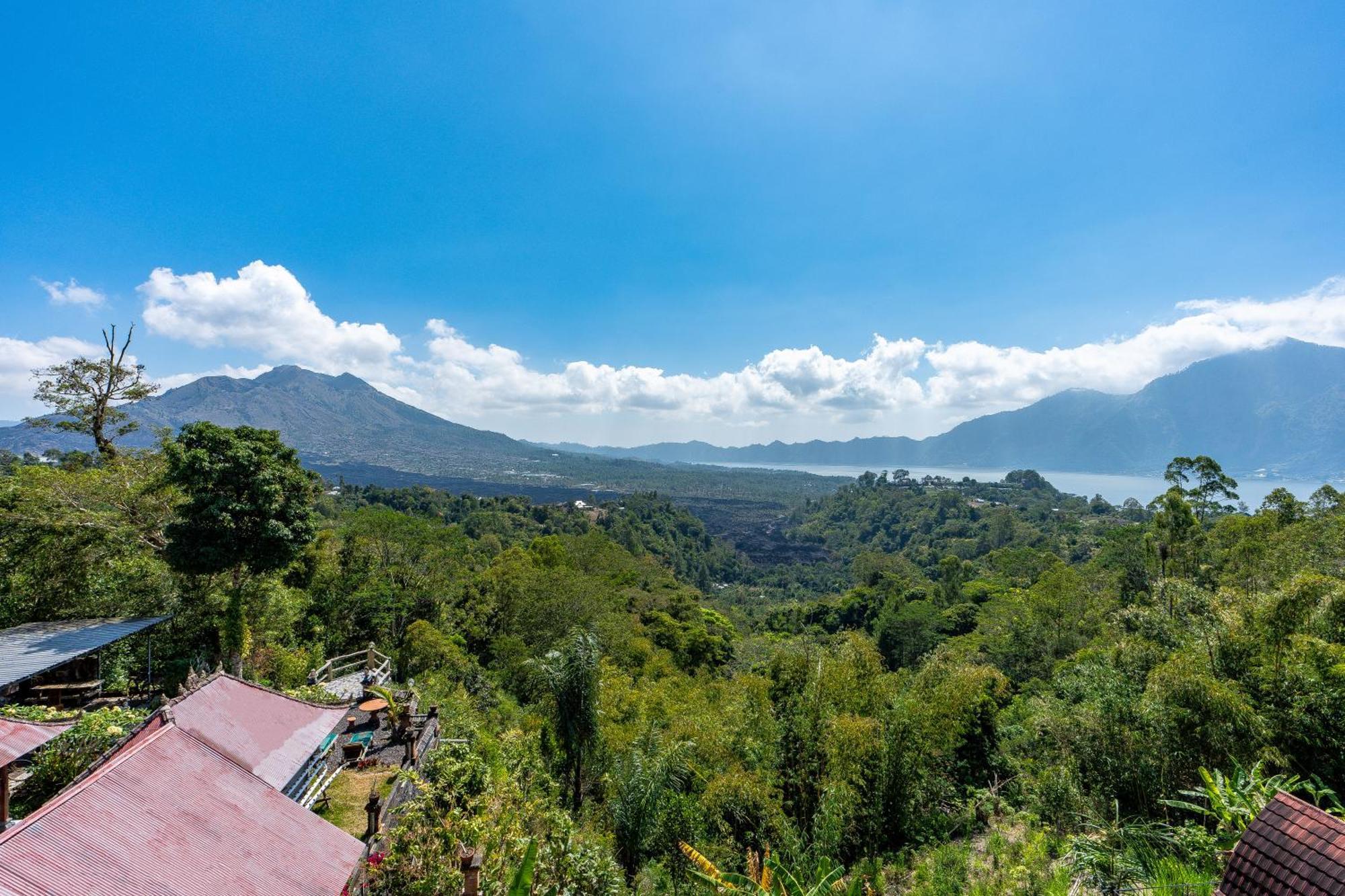 Tiing Bali Guest House Kintamani Extérieur photo