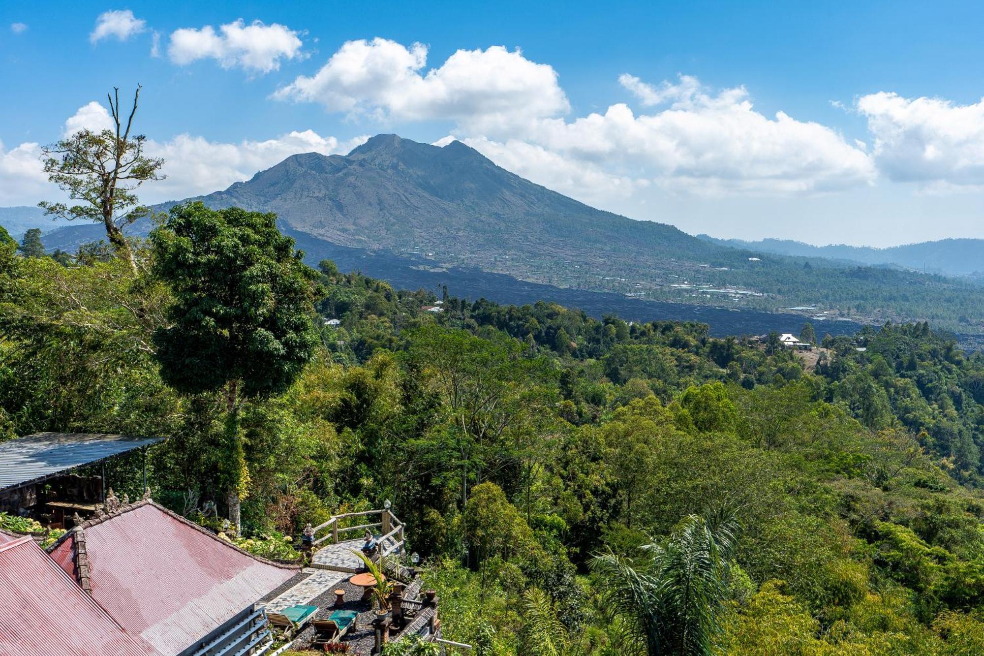 Tiing Bali Guest House Kintamani Extérieur photo